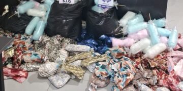 Polícia interrompe festa de Dia das Crianças financiada por facção em Sonora