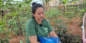 Mãe diz ter sido expulsa de casa pelos filhos e pede ajuda para construir barraco em Campo Grande